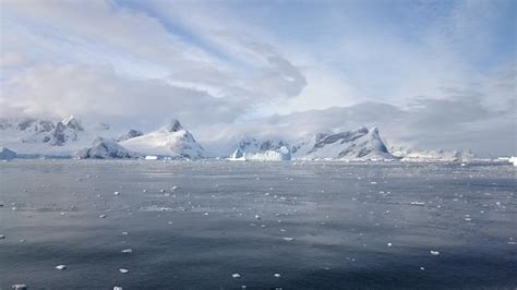 A­n­t­a­r­k­t­i­k­a­­d­a­ ­2­0­ ­k­o­l­l­u­ ­­ç­i­l­e­k­ ­b­e­n­z­e­r­i­­ ­ş­e­k­l­e­ ­s­a­h­i­p­ ­d­e­n­i­z­ ­c­a­n­l­ı­s­ı­ ­k­e­ş­f­e­d­i­l­d­i­